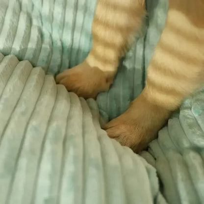 Tapis en velours côtelé pour chiens de taille moyenne et grande