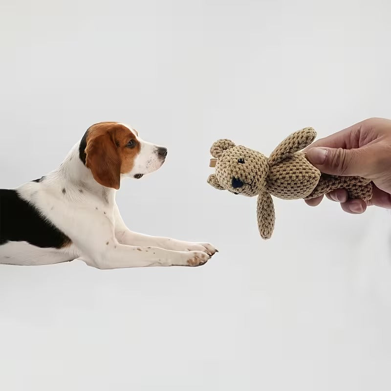 Ours en peluche résistant pour chien - Jouet interactif à mâcher