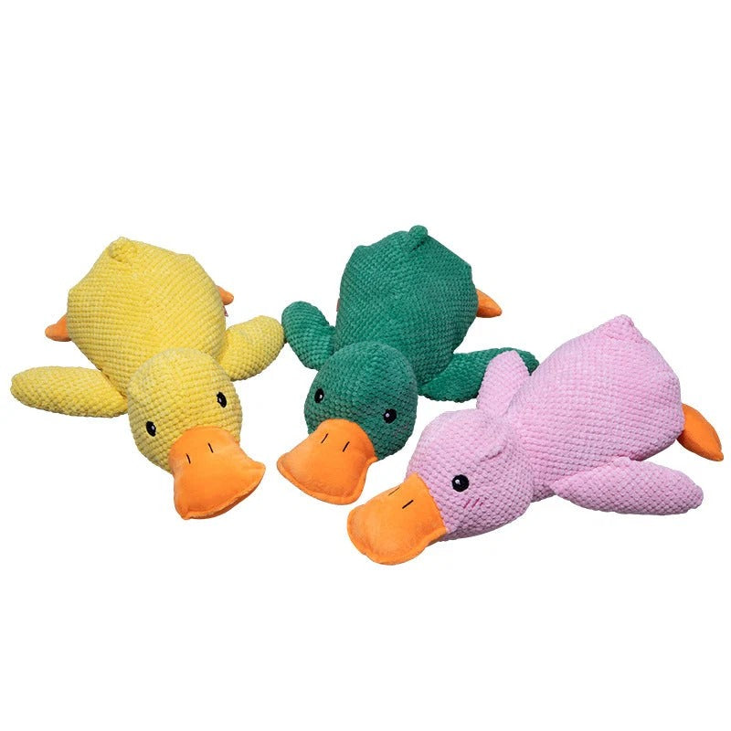 Peluche Canard pour Chien qui Couine