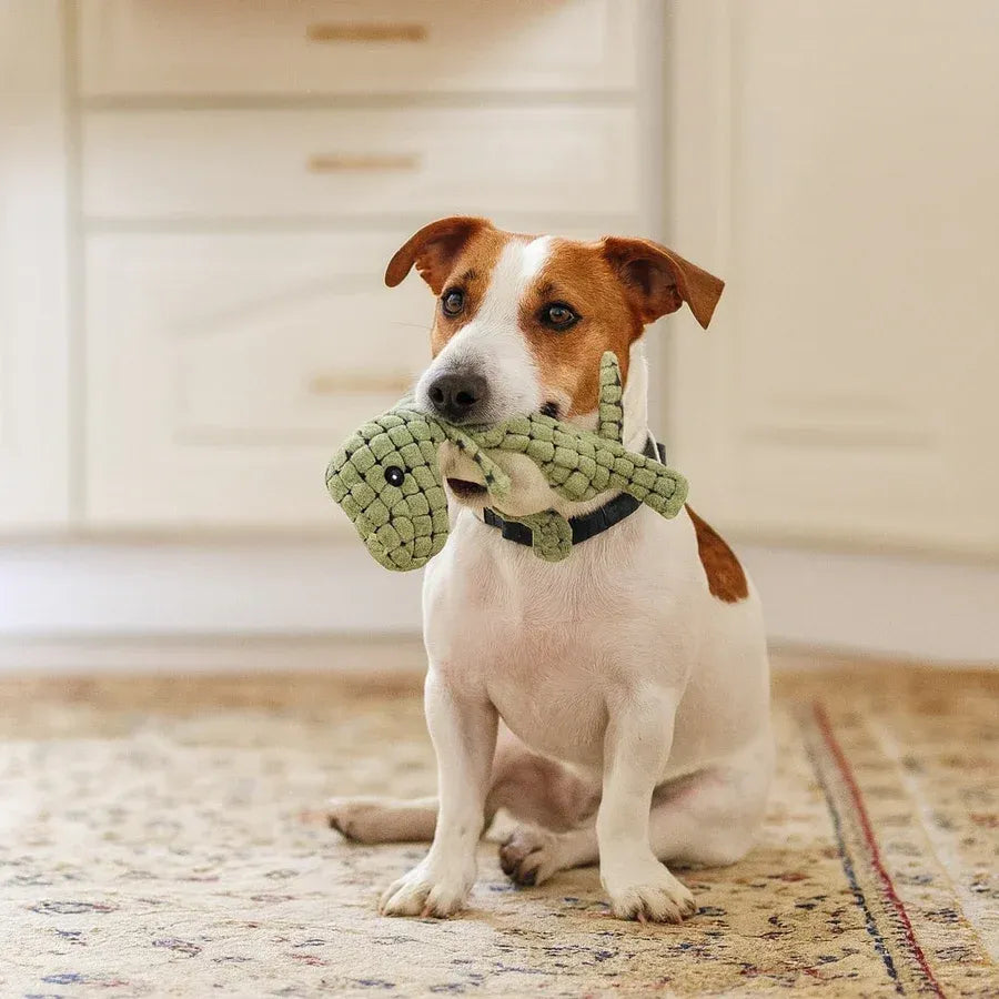 Jouets pour chiens - Jouet à mâcher résistant pour chiens