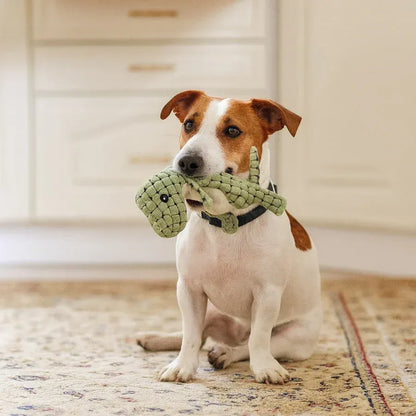 Jouets pour chiens - Jouet à mâcher résistant pour chiens