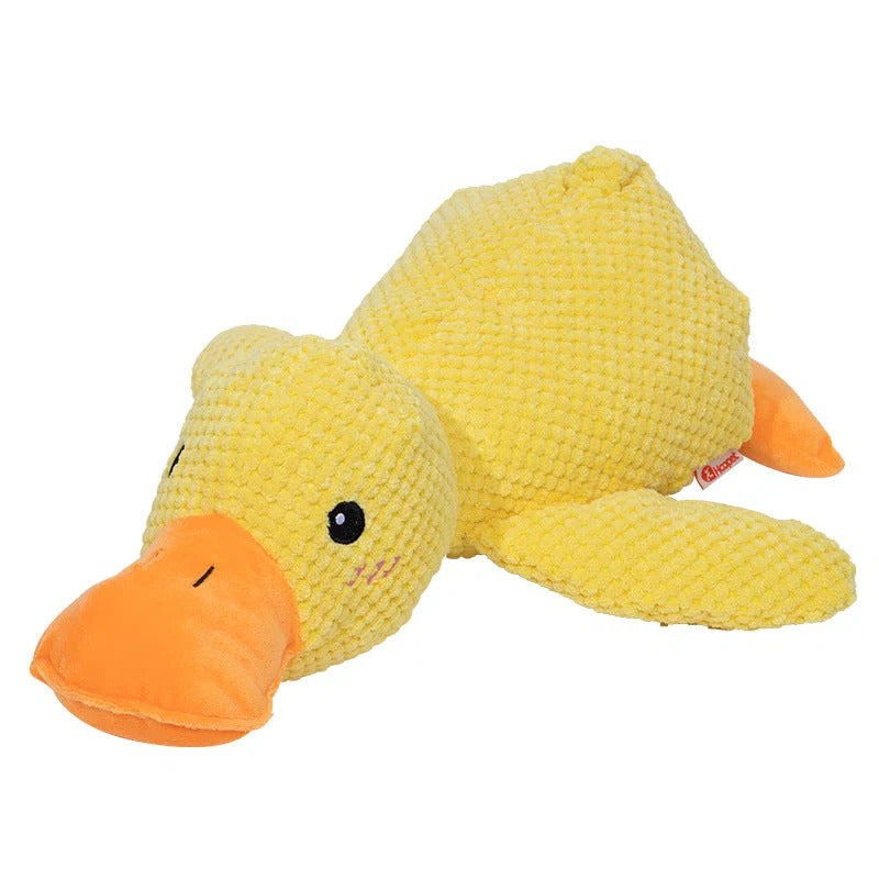 Peluche Canard pour Chien qui Couine