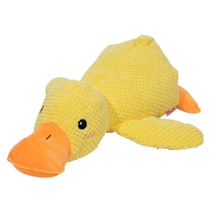 Peluche Canard pour Chien qui Couine